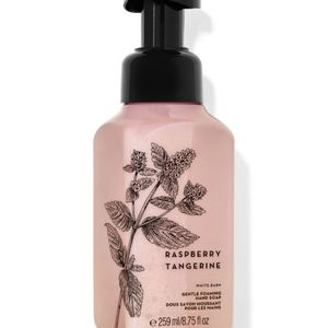 Raspberry Tangerine Foaming Soaps